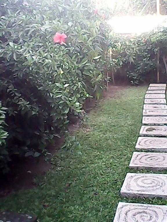 Bali Sari Homestay Amed Екстериор снимка