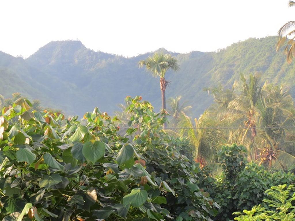 Bali Sari Homestay Amed Екстериор снимка
